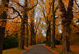 Seasons
